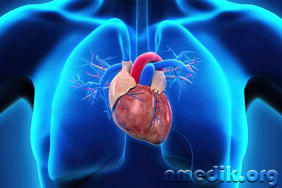 Кардиомиопатия Кардиомиопатия