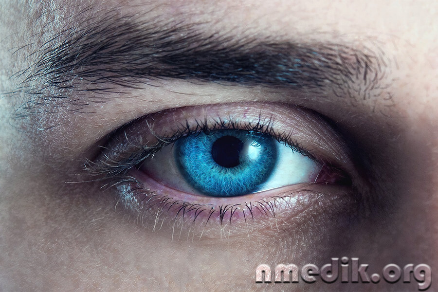 Дальнозоркость Дальнозоркость