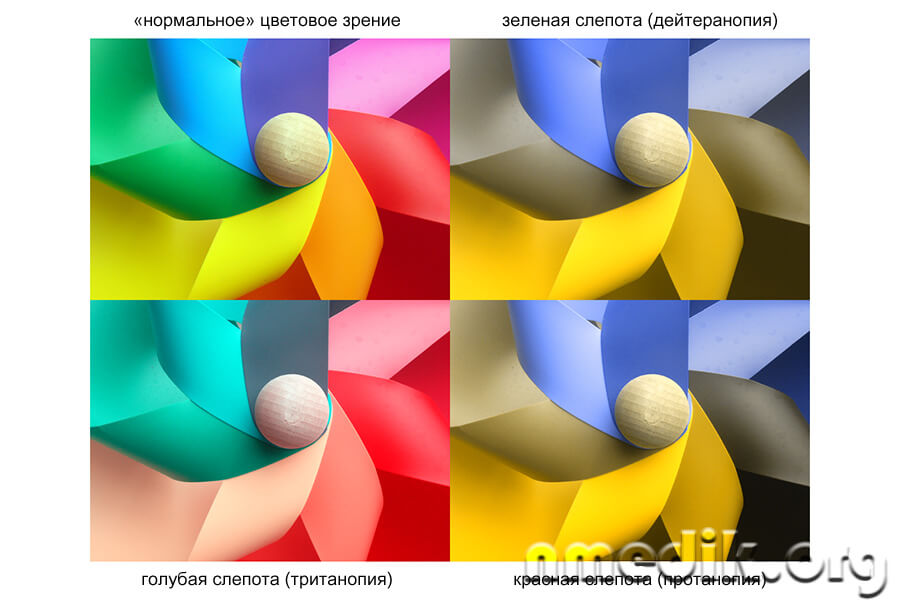 Тест на дальтонизм Тест на дальтонизм